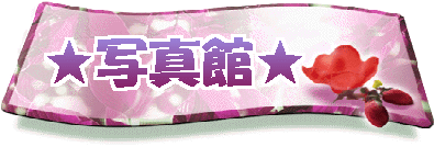 ���ʐ^�ف�