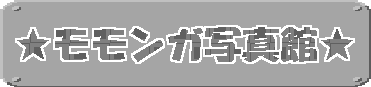 ���������K�ʐ^�ف�